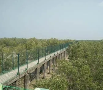 Sundarban travel