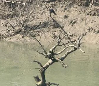 sundarban tourist spot