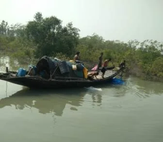 Sundarban boat tour