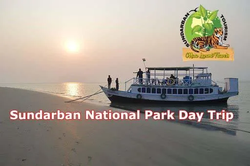 Sundarban Day Trip