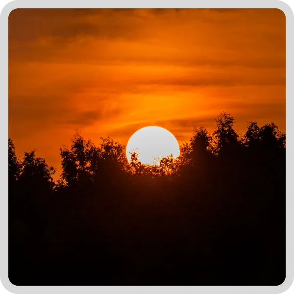 Beautiful sunset view over the mangroves during a Sundarban package tour