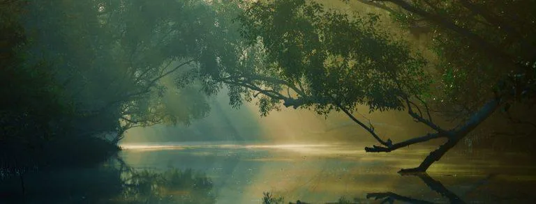 sundarban-packages-banner-768x293-1 Beautiful Sundarban tour banner showing a peaceful river and lush green mangroves.