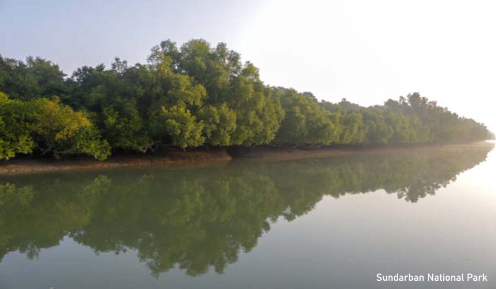 Sundarban National Park