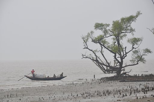 sundarban tour 1 night 2 days package