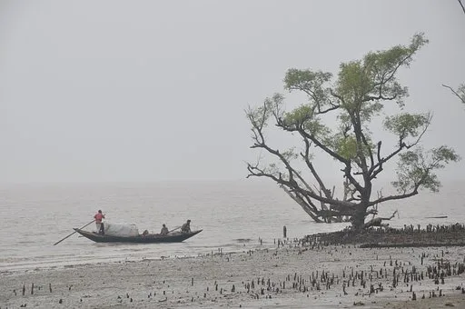 sundarban 1 night 2 days itinerary