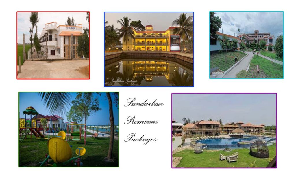 Sundarban Premium Packages