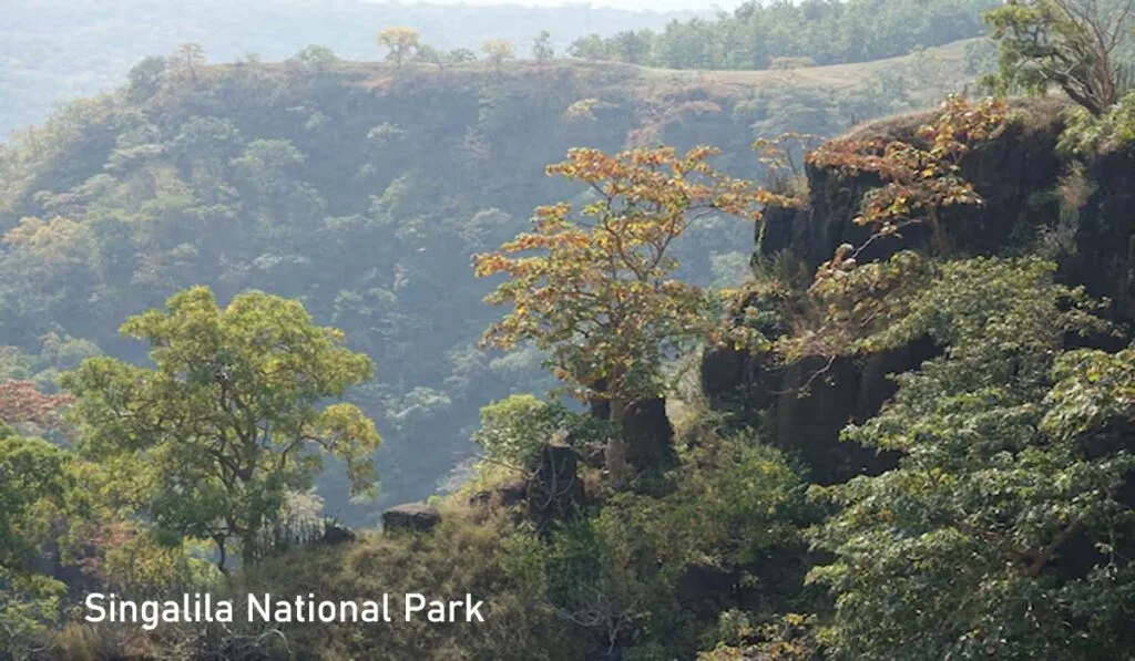 Serene hills and greenery of Singalila National Park Darjeeling