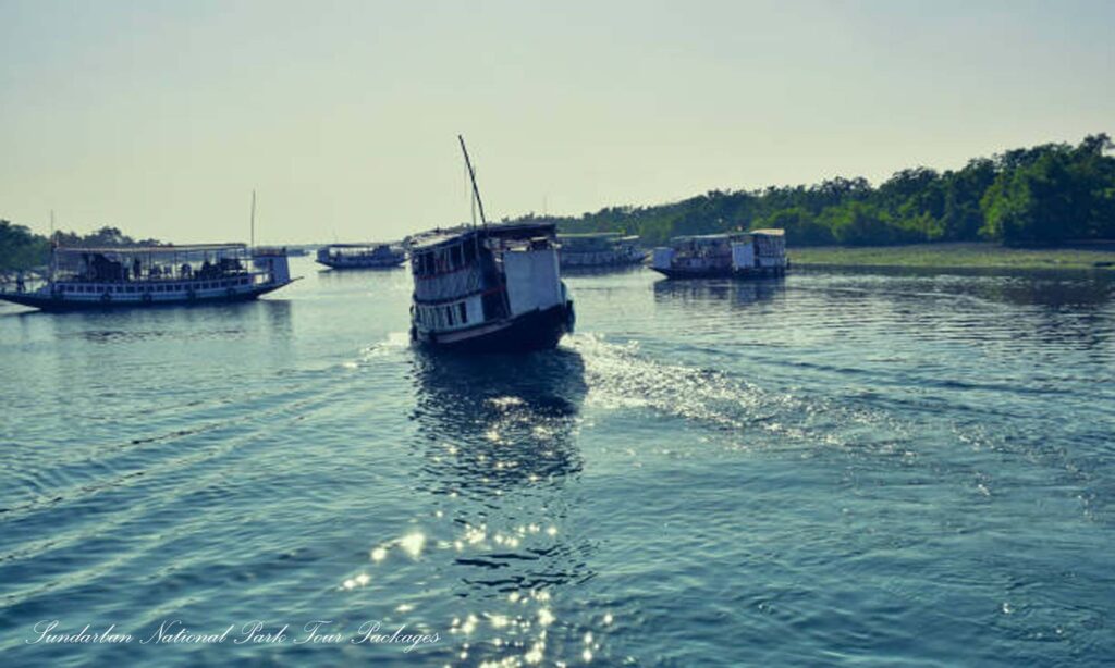 Sundarban National Park Tour Packages