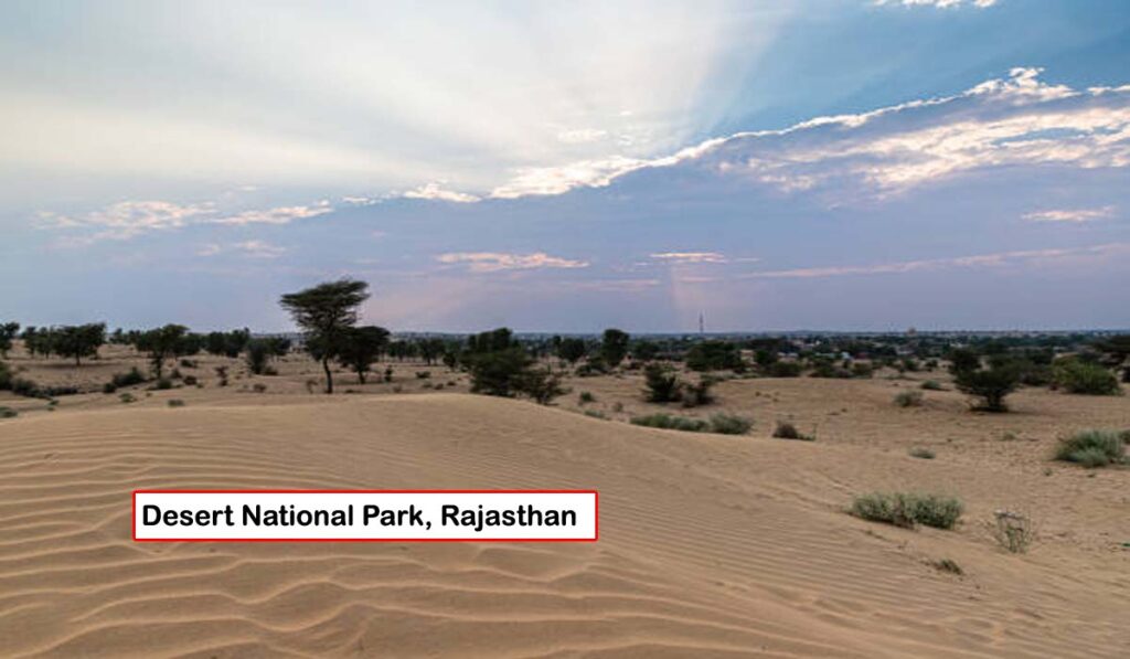 Desert National Park, Rajasthan