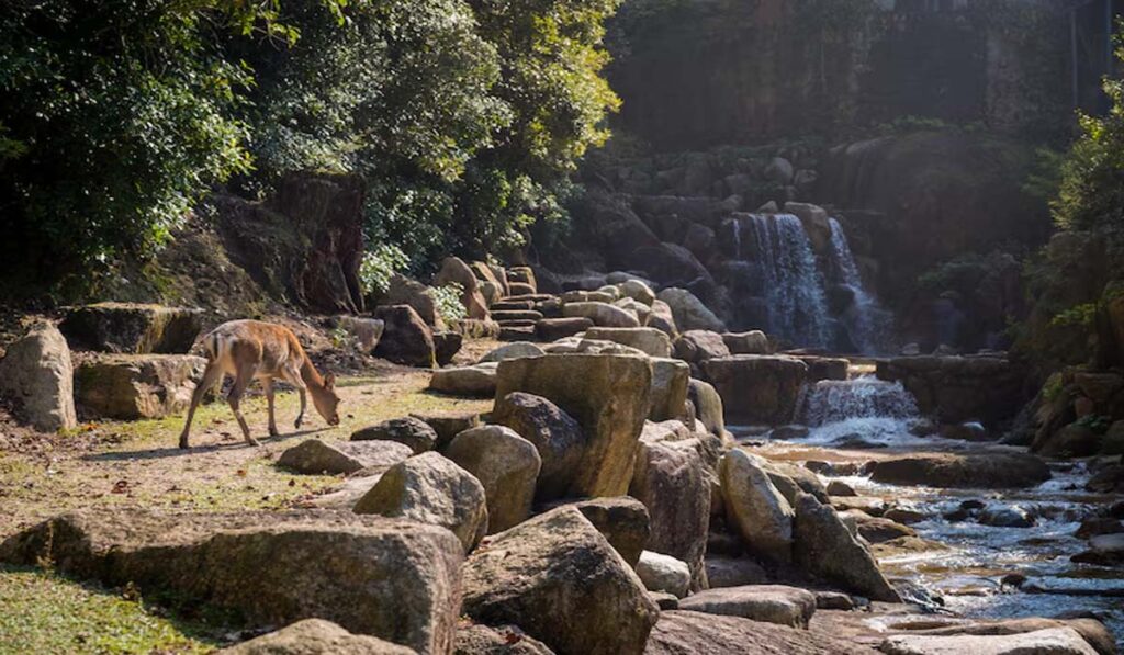 Guru Ghasidas National Park, Chhattisgarh