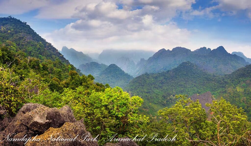 Namdapha National Park, Arunachal Pradesh