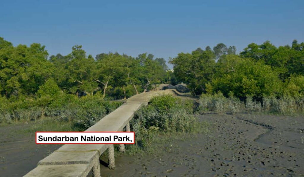 Sundarban National park