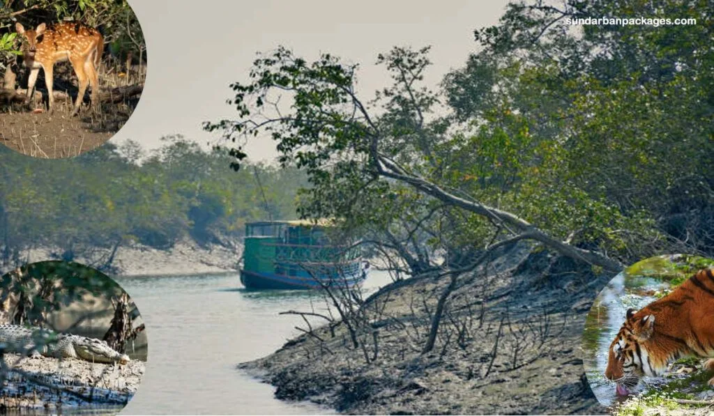 educational tour places in Kolkata