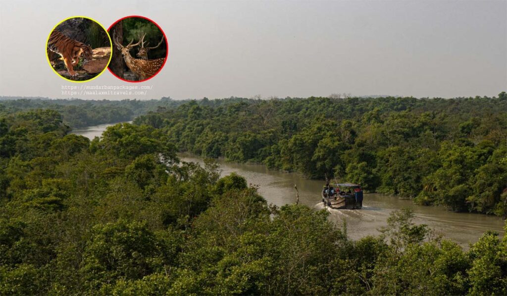 Sundarbans Guide