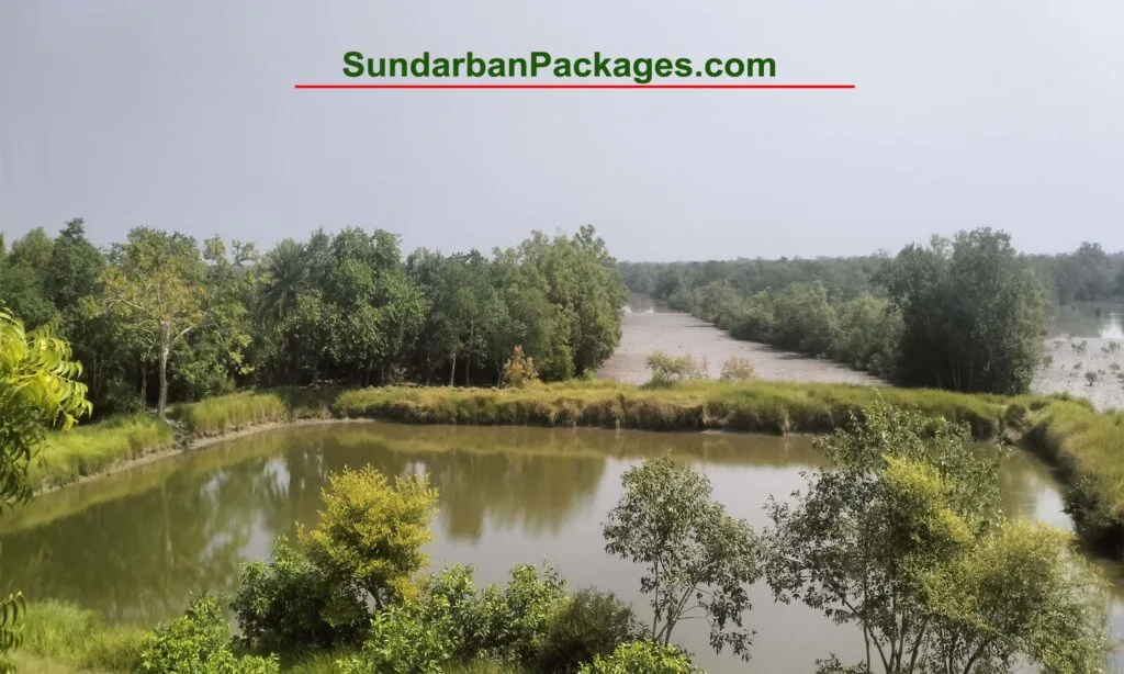 Maa Laxmi Travels - Trusted Sundarban Travel Expert