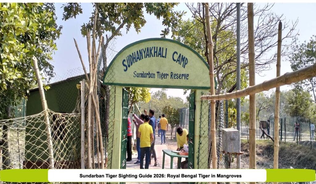 Sudhanyakhali Camp gate in Sundarban Tiger Reserve - Tiger sighting guide 2026