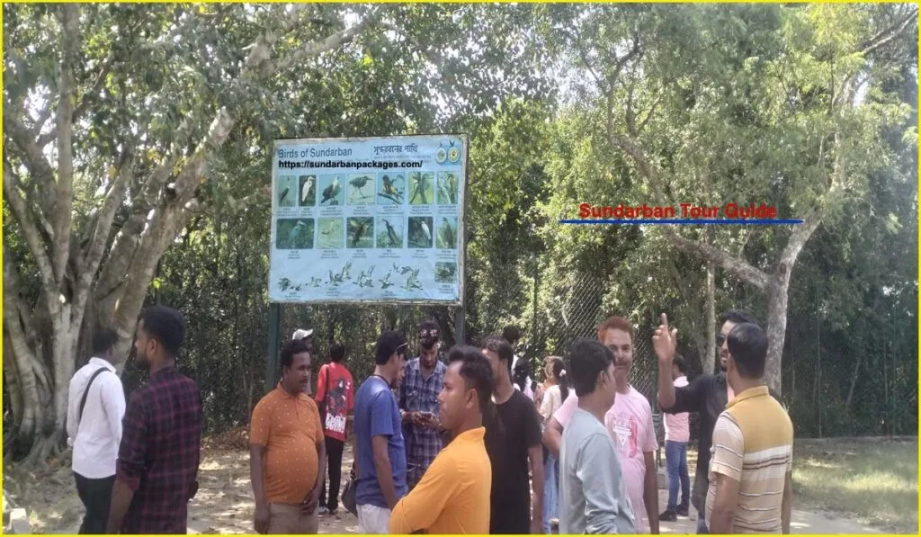 Guide for sundarban
