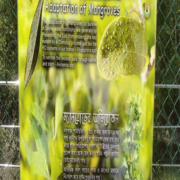 Sundarban Day Trip Package - Explore the world's largest mangrove delta in one day with expert tour operators.