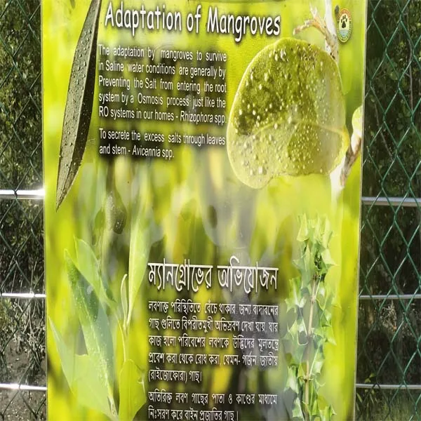 Maa Laxmi Travels Sundarbans Sundarban Day Trip Package - Explore the world's largest mangrove delta in one day with expert tour operators.